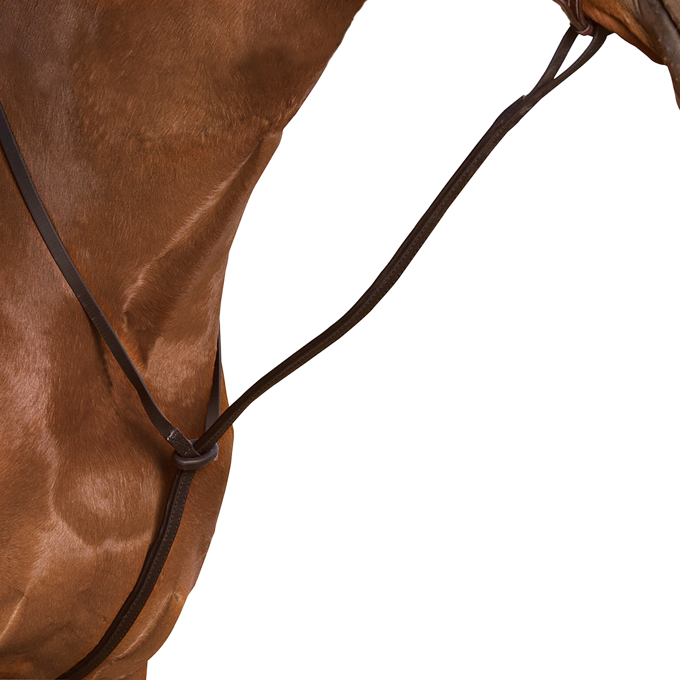 Wintec Standing Martingale