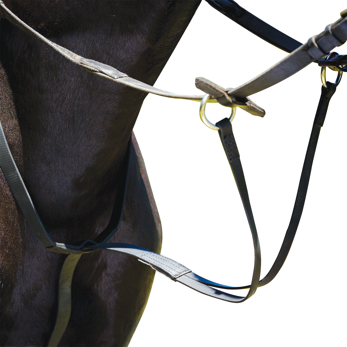 Wintec Running Martingale